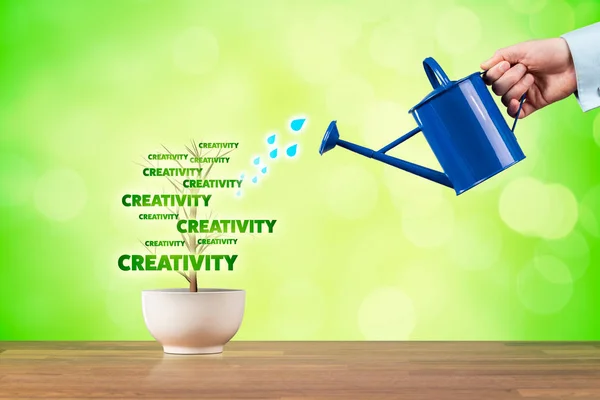 Koncepcja Biznesowa Kreatywność Wzrostu Rozwój Kreatywności Reprezentowane Przez Rośliny Podlewać — Zdjęcie stockowe