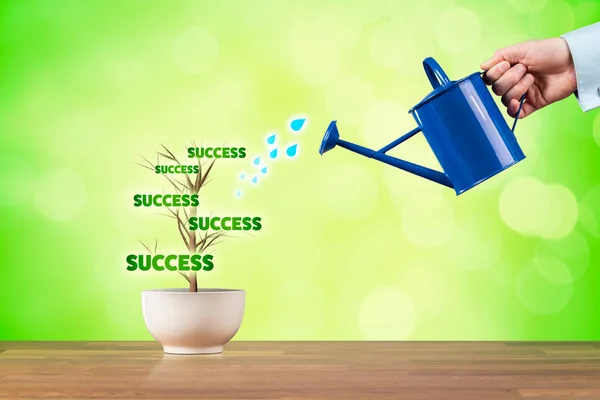 Success Growth Concept Success Growth Represented Plant Watered Businessman — Stock Photo, Image