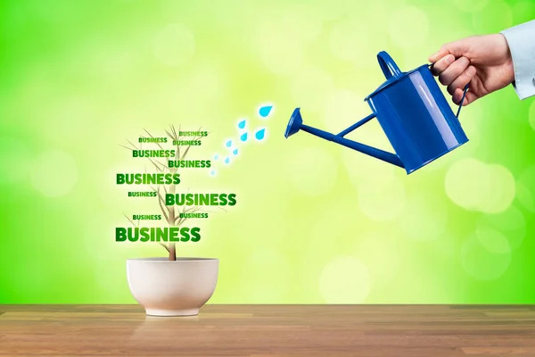 小企业成长的理念 由商人浇灌的植物代表的小企业成长 — 图库照片
