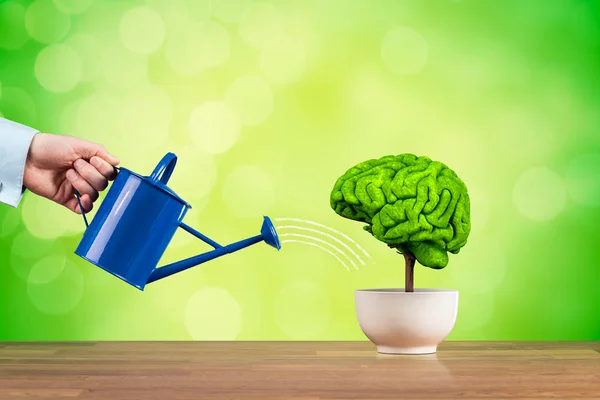 Crecimiento Creatividad Mejor Usando Función Cerebral Concepto Mejora Memoria Crecimiento — Foto de Stock