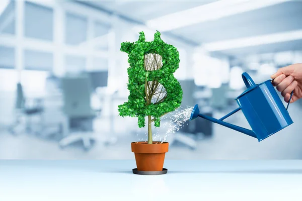 ビットコイン価値成長の概念 投資家 ビジネス人 背景のオフィスによって骨抜き Bitcoin シンボルの形で植物によって表される Bitcoin 成長の値 — ストック写真