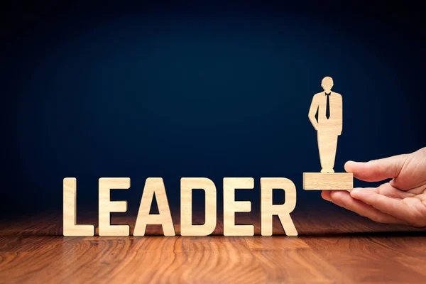 Başarılı Takım Lideri Müdür Ceo Pazar Lideri Başka Bir Liderlik — Stok fotoğraf