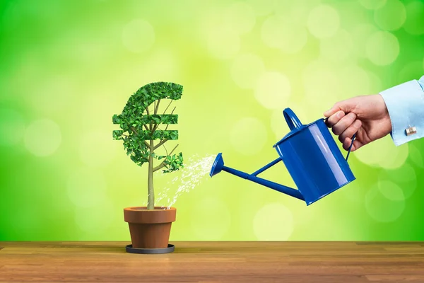 Euro Income Growth Concept Income Growth Represented Plant Shape Euro — Stock Photo, Image