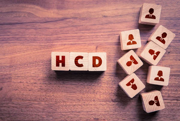 İnsan Merkezi Tasarım (HCD) kavramı. Metni HCD olan tahta küpler ve insan simgelerini temsil eden insan simgeleri olan küpler..