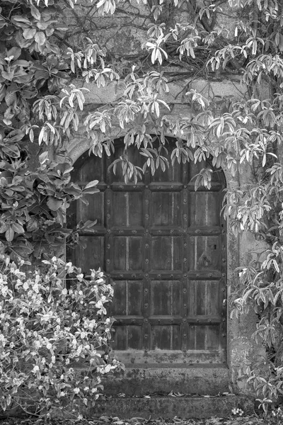 Hermosa Puerta Entrada Antigua Mansión Victoriana Rodeada Plantas Árboles Blanco — Foto de Stock