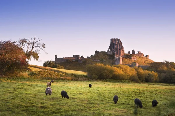 Old Medieval Castle Ruins Summer Sunrise Landscape Image — Stock Photo, Image