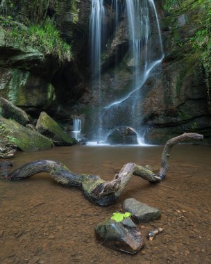 Şelale peyzaj Roughting Linn Northumberland National Park İngiltere'de çarpıcı