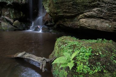 Şelale peyzaj Roughting Linn Northumberland National Park İngiltere'de çarpıcı