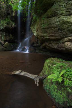 Şelale peyzaj Roughting Linn Northumberland National Park İngiltere'de çarpıcı