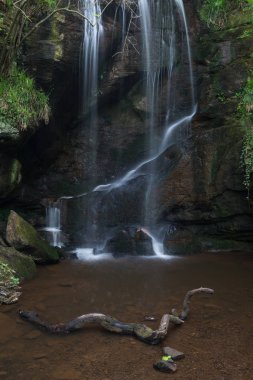Şelale peyzaj Roughting Linn Northumberland National Park İngiltere'de çarpıcı