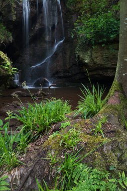 Şelale peyzaj Roughting Linn Northumberland National Park İngiltere'de çarpıcı