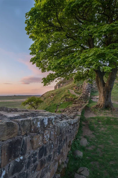 Prachtig Landschap Afbeelding Voor Sycamore Gap Muur Van Hadrianus Northumberland — Stockfoto