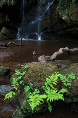 Şelale peyzaj Roughting Linn Northumberland National Park İngiltere'de çarpıcı