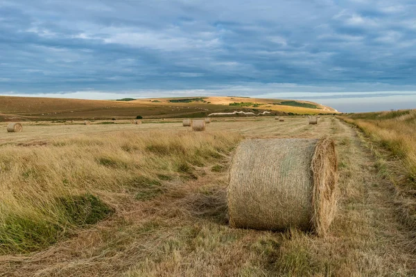 Beuaitufl Vibrante Tramonto Estivo Sul Paesaggio Della Campagna Inglese — Foto Stock