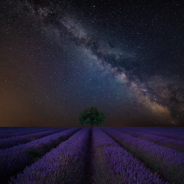Prachtige Levendige Melkweg Composietbeeld Landschap Van Prachtige Lavendel Veld — Stockfoto