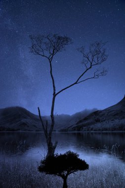 Samanyolu galaksi imajıyla gece gökyüzü göl ve dağların önünde ağacının doğal siluetleri