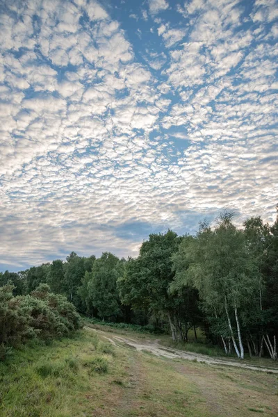 Wspaniałe Niebo Makrela Cirrocumulus Altocumulus Chmury Formacji Lato Niebo Krajobraz — Zdjęcie stockowe