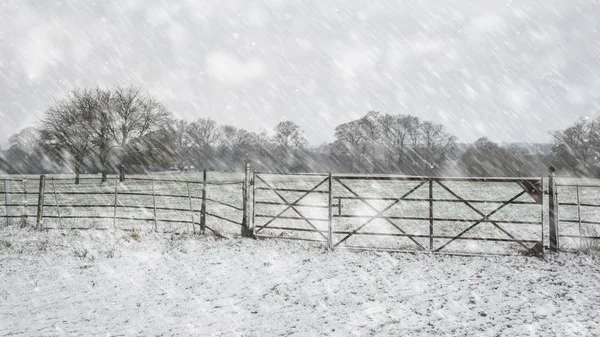 落下し 地面とイギリスの田舎で葉を覆う雪のある冬景色 — ストック写真