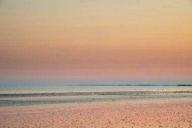 Güzel renkli yaz günbatımı plaj manzara çarpıcı gökyüzü ve renkler ile