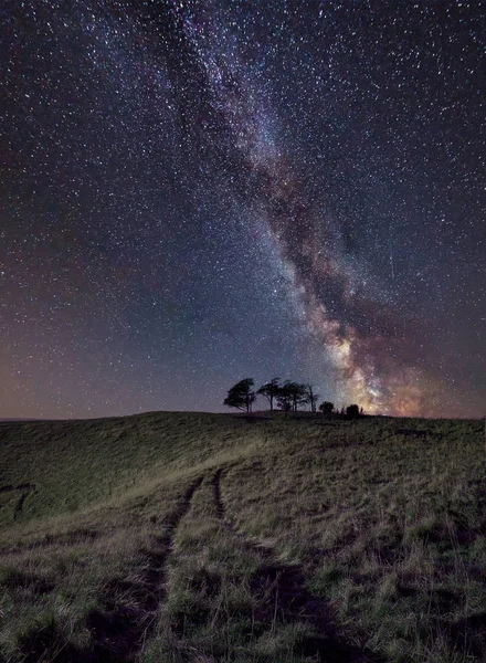 Superbe Image Composite Vibrante Voie Lactée Sur Paysage Des Arbres — Photo