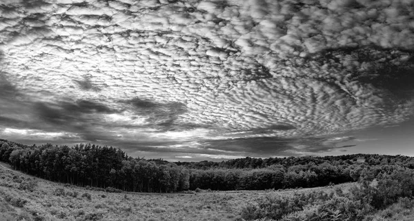 Impresionante Cielo Caballa Cirrocumulus Altocumulus Formaciones Nubes Verano Cielo Paisaje — Foto de Stock