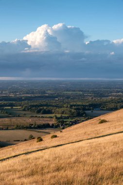 Güzel yaz günbatımı manzara görüntüsü İngilizce kırsal South Downs Milli Parkı
