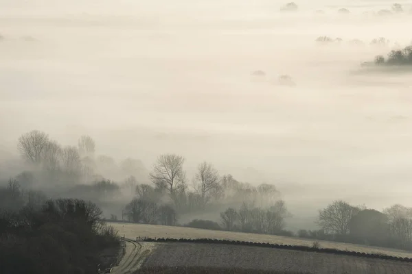 Beautiful Foggy English Countryside Landscape Sunrise Winter Layers Rolling Fields — Stock Photo, Image