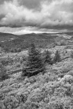 Uçurumun yürüyüş sırasında Eylül ayında yağmurlu öğleden sonra Barmouth ve Coed-y-Brenin orman bakan Snowdonia içinde gelen görünümünün siyah ve beyaz güzel manzara resmi