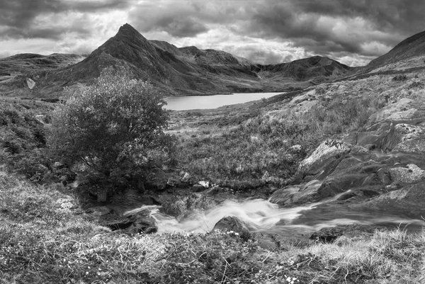 バック グラウンドで Tryfan と初期の秋の間にスノードニアに Llyn Ogwen 近くの岩の上を流れるの黒と白の美しいパノラマ風景画像 — ストック写真