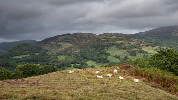 Krásná Krajina Obraz Pohled Propasti Chodit Snowdonia Výhledem Les Barmouth — Stock fotografie