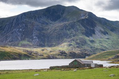 Snowdonia erken sonbahar sırasında Llyn Ogwen çevresindeki kırsal güzel manzara resmi