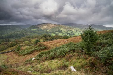 Uçurumun yürüyüş sırasında Eylül ayında yağmurlu öğleden sonra Barmouth ve Coed-y-Brenin orman bakan Snowdonia içinde gelen görünümünün güzel manzara resmi