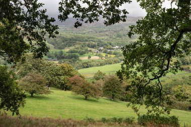 Uçurumun yürüyüş sırasında Eylül ayında yağmurlu öğleden sonra Barmouth ve Coed-y-Brenin orman bakan Snowdonia içinde gelen görünümünün güzel manzara resmi