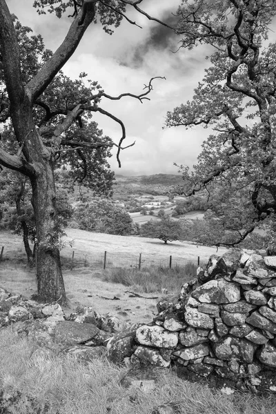 Fekete Fehér Gyönyörű Táj Kép Ból Kilátás Szakadék Járni Snowdonia — Stock Fotó