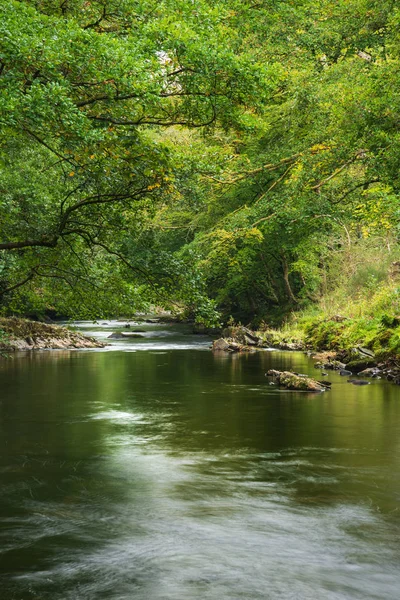 Bella Riva Verde Lussureggiante Con Fiume Che Scorre Lentamente Passato — Foto Stock