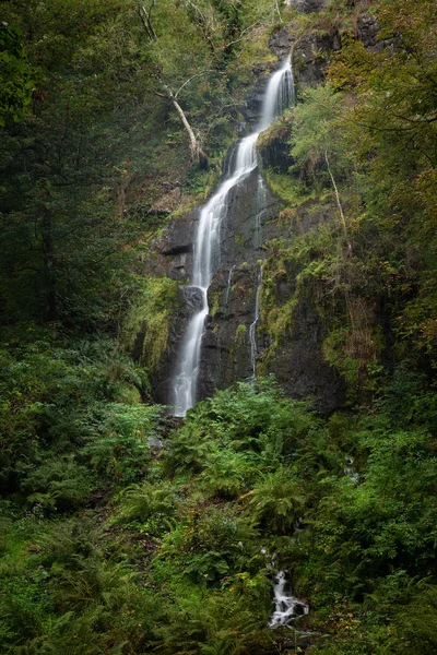 Impressionante Alta Cachoeira Fluindo Sobre Exuberante Paisagem Verde Folhagem Início — Fotografia de Stock