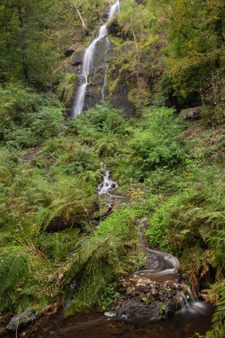 Yemyeşil yeşil manzara yeşillik üzerinde erken sonbaharda akan çarpıcı yüksek şelale