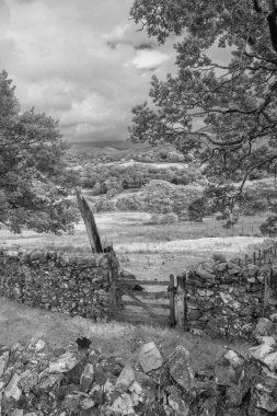 Uçurumun yürüyüş sırasında Eylül ayında yağmurlu öğleden sonra Barmouth ve Coed-y-Brenin orman bakan Snowdonia içinde gelen görünümünün siyah ve beyaz güzel manzara resmi