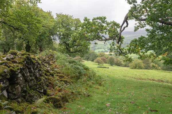 Beautiful landscape image of view from Precipice Walk in Snowdonia overlooking Barmouth and Coed-y-Brenin forest during rainy afternoon in September