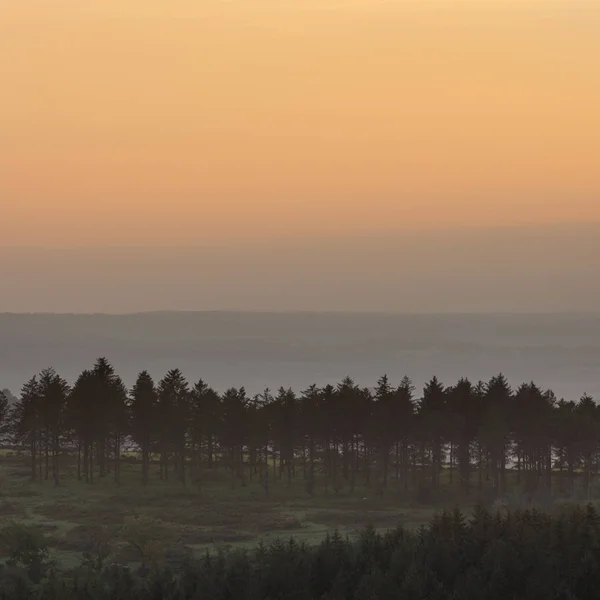 Belle Image Paysage Coucher Soleil Automne Leather Tor Vers Burrator — Photo