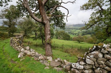 Uçurumun yürüyüş sırasında Eylül ayında yağmurlu öğleden sonra Barmouth ve Coed-y-Brenin orman bakan Snowdonia içinde gelen görünümünün güzel manzara resmi