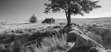 Bir rahibe çapraz grupta Dartmoor güzel siyah ve Beyaz Peyzaj görüntüsü