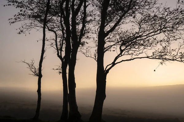 Prachtig Mistige Zonsopgang Landschap Tors Dartmoor Onthullende Pieken Door Mist — Stockfoto