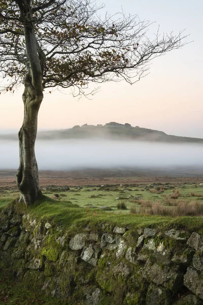 Splendido Paesaggio Sorgere Del Sole Nebbioso Sopra Vettori Dartmoor Rivelando — Foto Stock