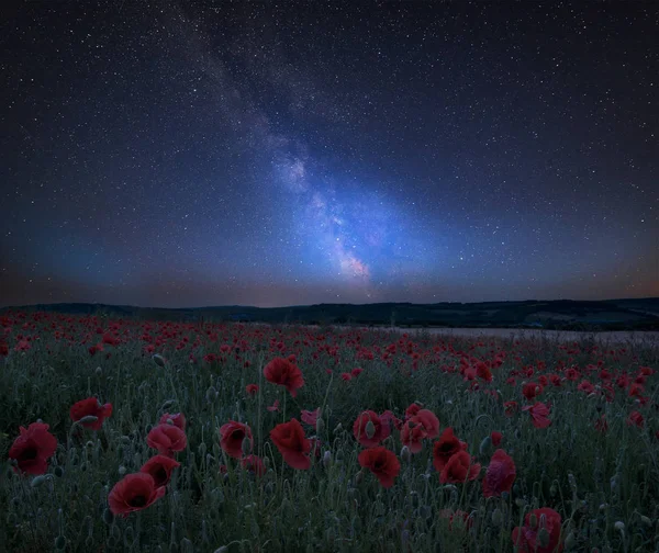 令人惊叹的充满活力的银河系在夏季罂粟田景观上的复合图像 — 图库照片
