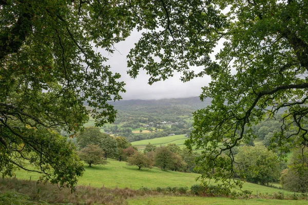 Krásná Krajina Obraz Pohled Propasti Chodit Snowdonia Výhledem Les Barmouth — Stock fotografie