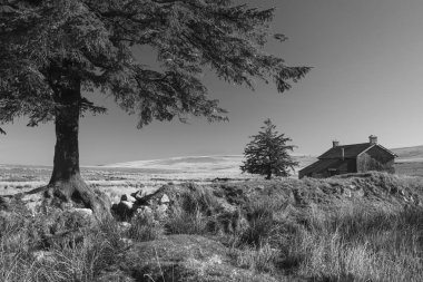 Bir rahibe çapraz grupta Dartmoor güzel siyah ve Beyaz Peyzaj görüntüsü