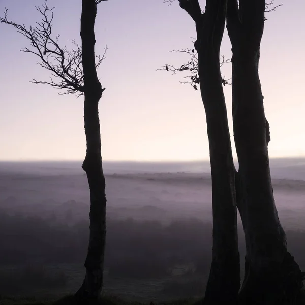 Stunning Foggy Sunrise Landscape Tors Dartmoor Revealing Peaks Mist — Stock Photo, Image