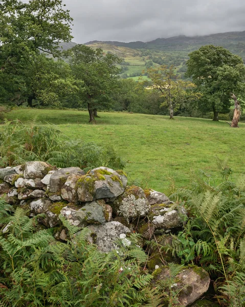 Krásná Krajina Obraz Pohled Propasti Chodit Snowdonia Výhledem Les Barmouth — Stock fotografie