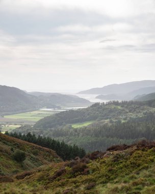 Uçurumun yürüyüş sırasında Eylül ayında yağmurlu öğleden sonra Barmouth ve Coed-y-Brenin orman bakan Snowdonia içinde gelen görünümünün güzel manzara resmi